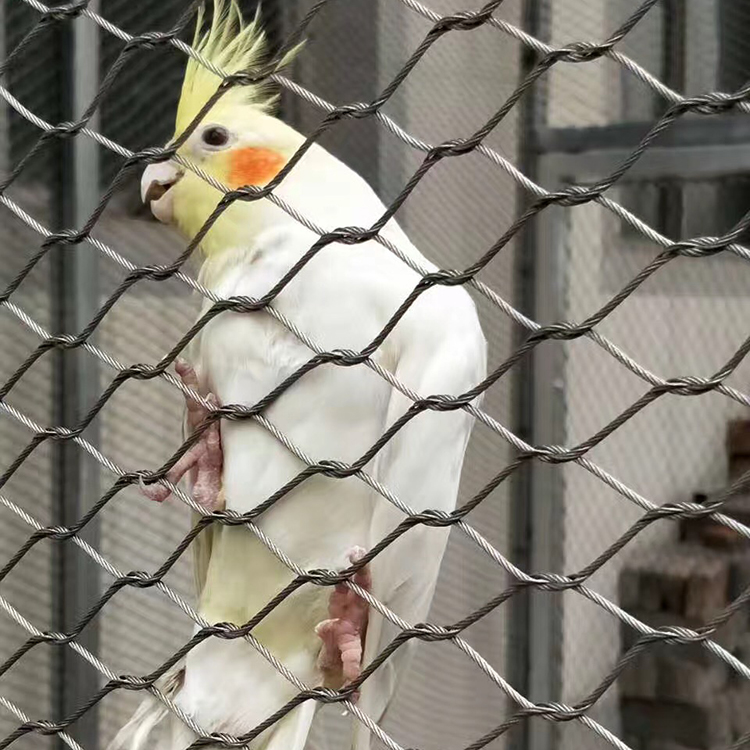 鳥語林專用不銹鋼繩網